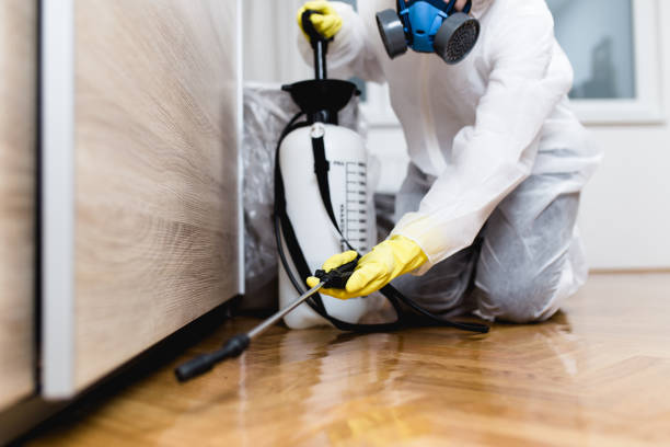 Best Mosquito Control Services  in Atlantic, IA