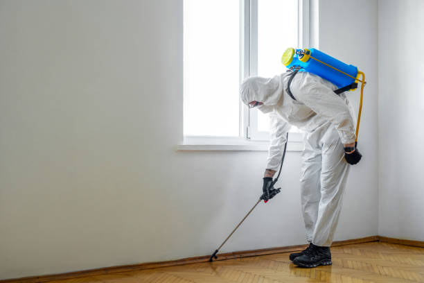 Best Local Pest Control Services  in Atlantic, IA