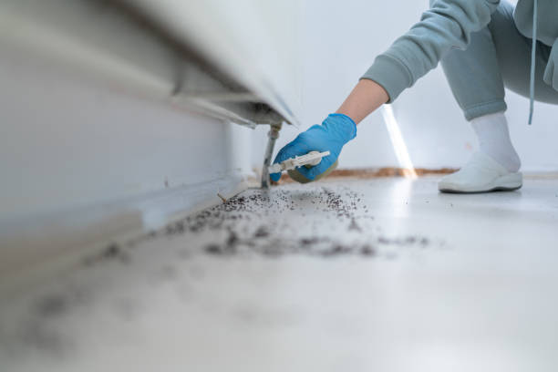 Best Flea Control Services  in Atlantic, IA